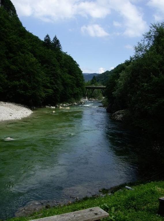 Reka Hisa river side lodge Bohinjska Bela Eksteriør billede