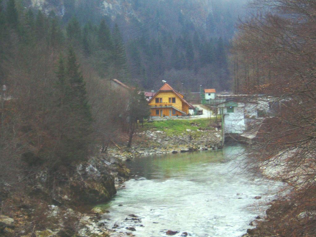 Reka Hisa river side lodge Bohinjska Bela Eksteriør billede